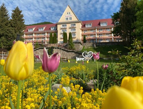 Акция «Выбери свою скидку»